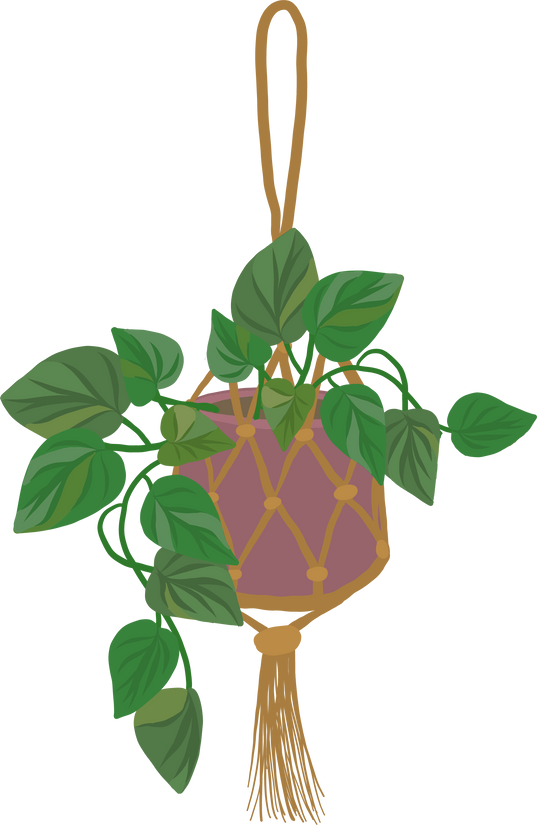 Golden Pothos Plant 